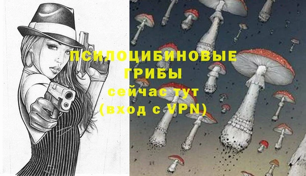 ешки Белокуриха