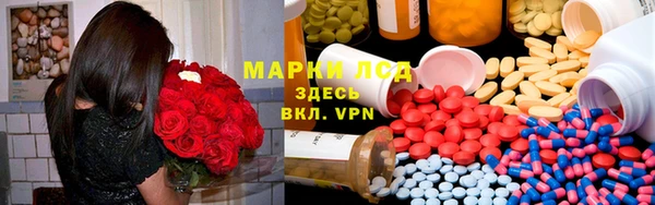 ешки Белокуриха