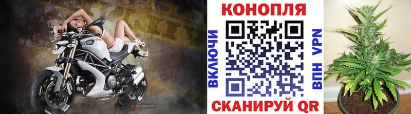 Каннабис Ganja Староминская